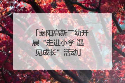 襄阳高新二幼开展“走进小学 遇见成长”活动